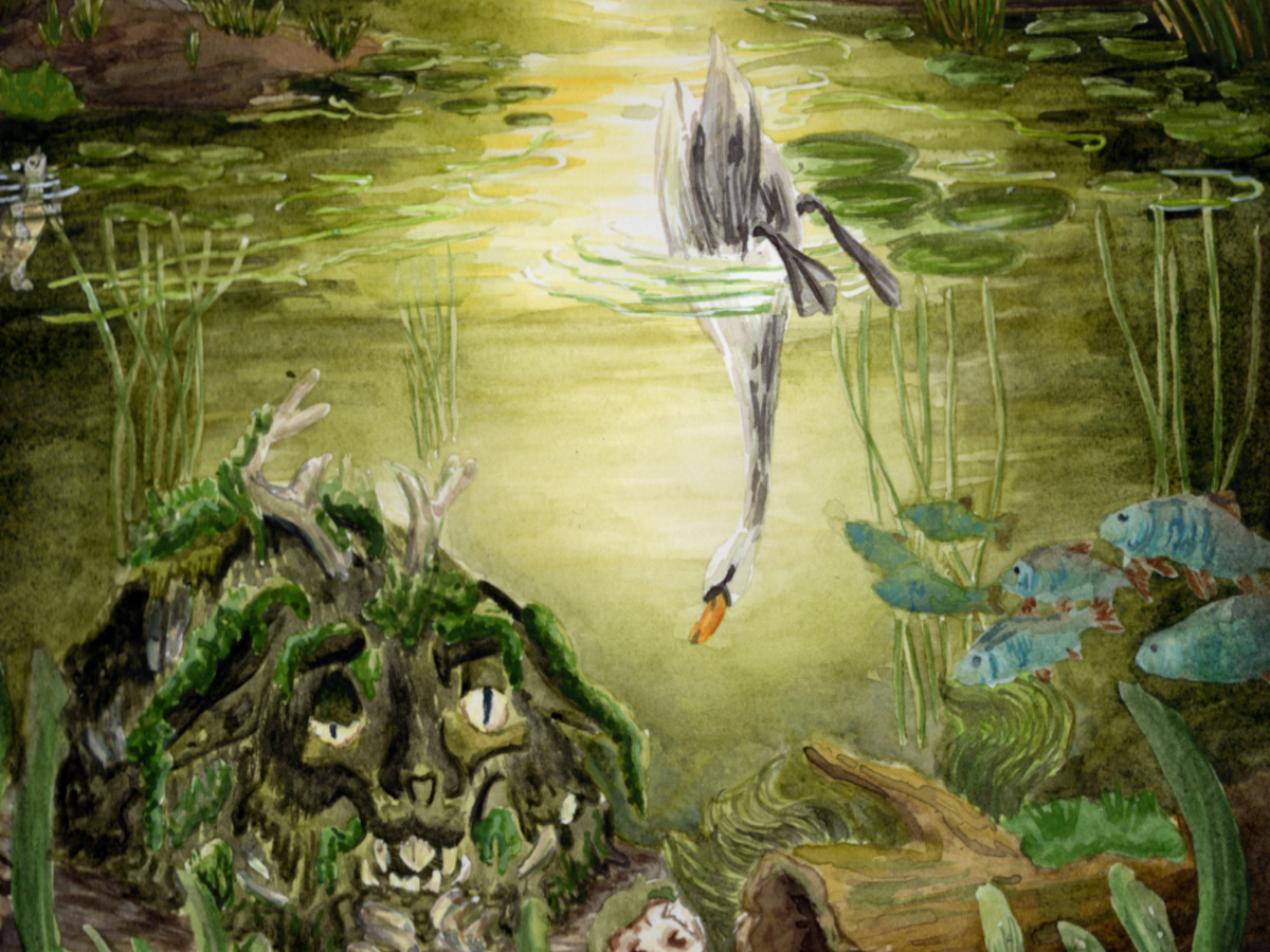illustration by brittney mallon depicting a meadow and green brook with a swan diving under pale tinged water to see a lumpy mossy form with eyes on the creek bed. 