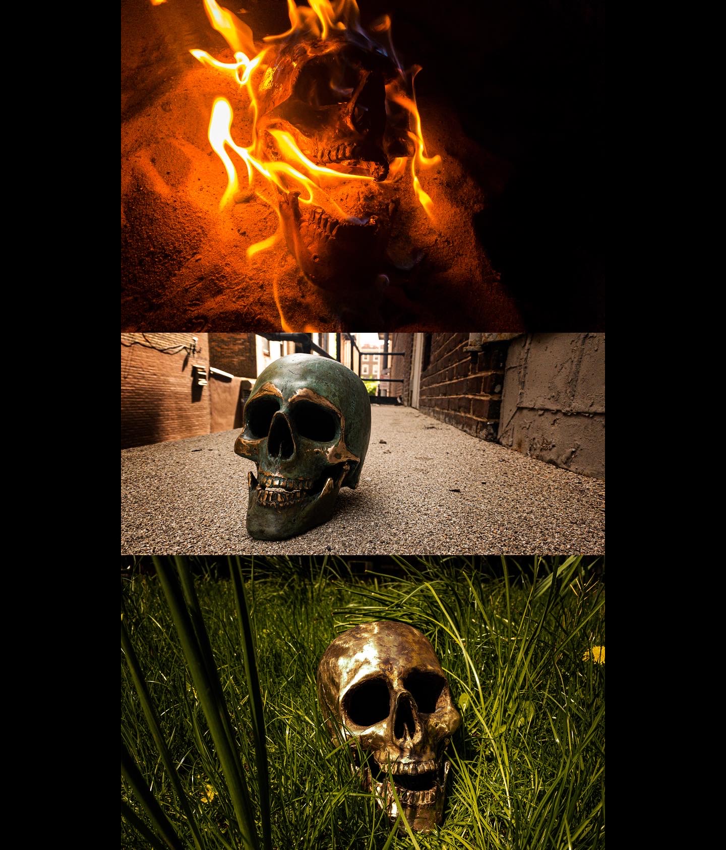 sculpture by Logan Smith consisting brass-y metal skull. it is depicted at the top resting in flames, in the middle on the ground with a greenish patina, and at the bottom in tall green grass and polished to a bright golden hue. 
