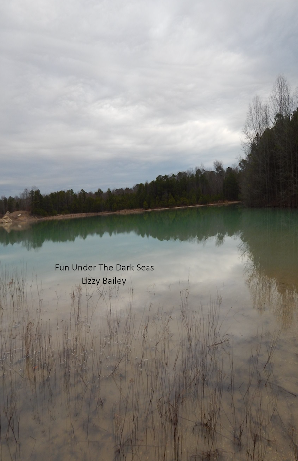An image of a lake with cloudy skies