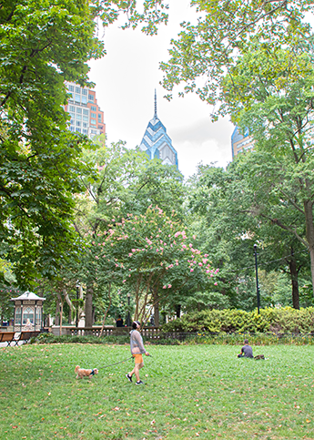 A person is walking their small dog across the green grass in Rittenhouse Square park. A skyscraper is visible in the background.