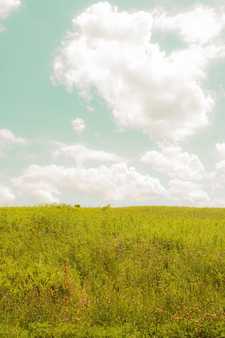 A field with blue skies and clouds. "Thompson Residency" by Justin C. Henry