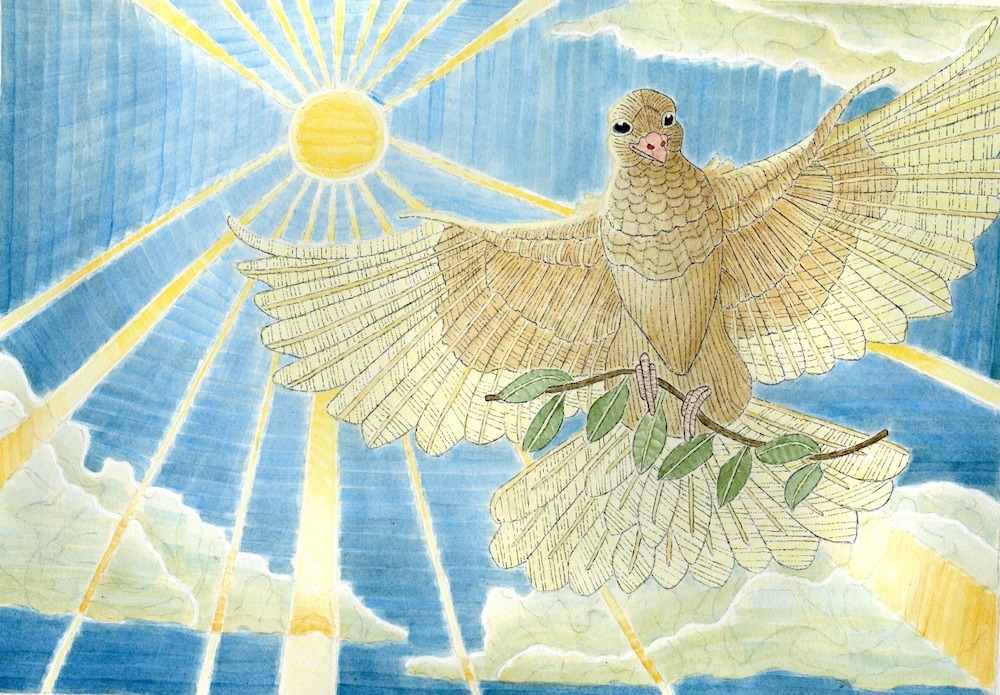 An illustration by Brittany Tucker or a white dove.