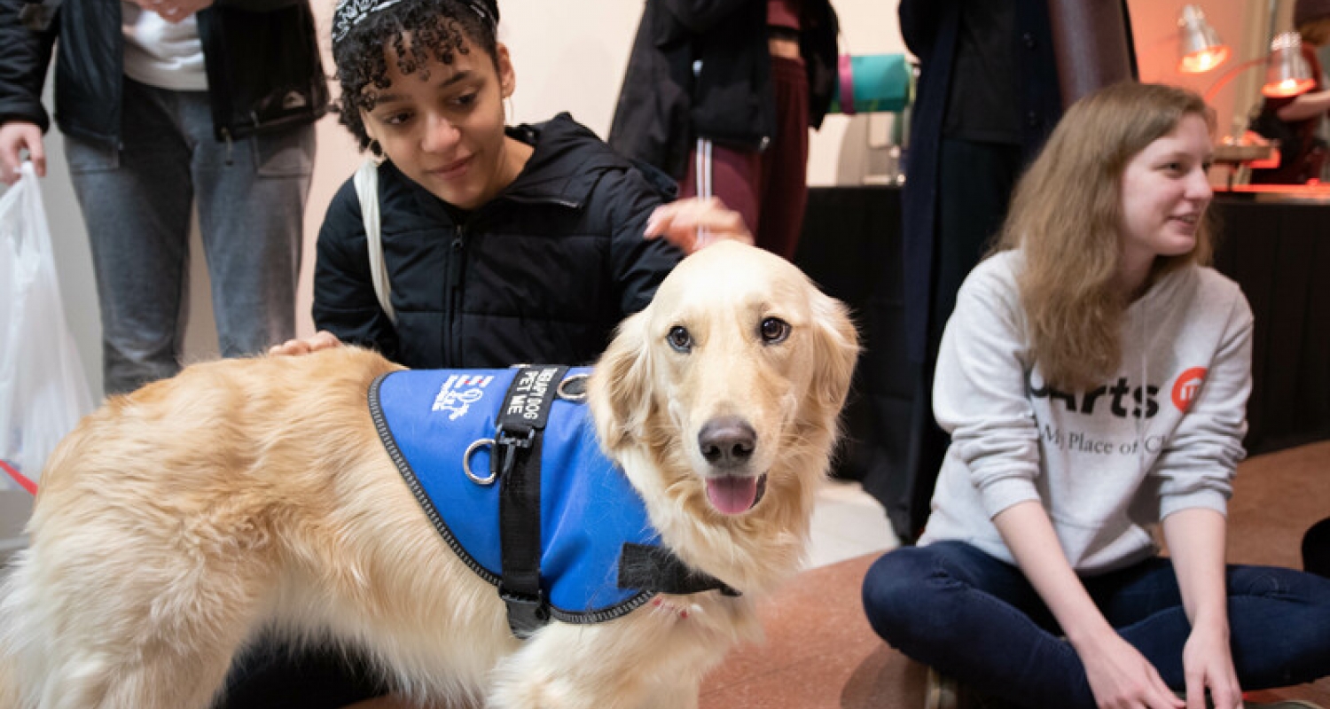 therapy dog visits uarts campus