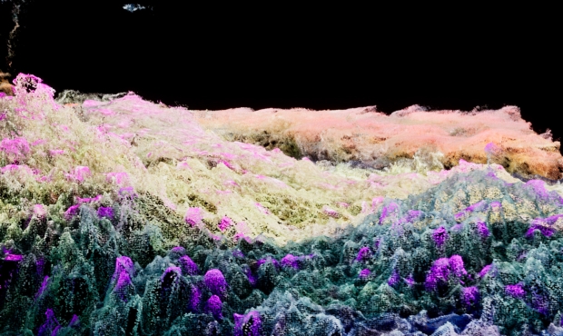 Video still focusing on a multicolored landscape against a black background