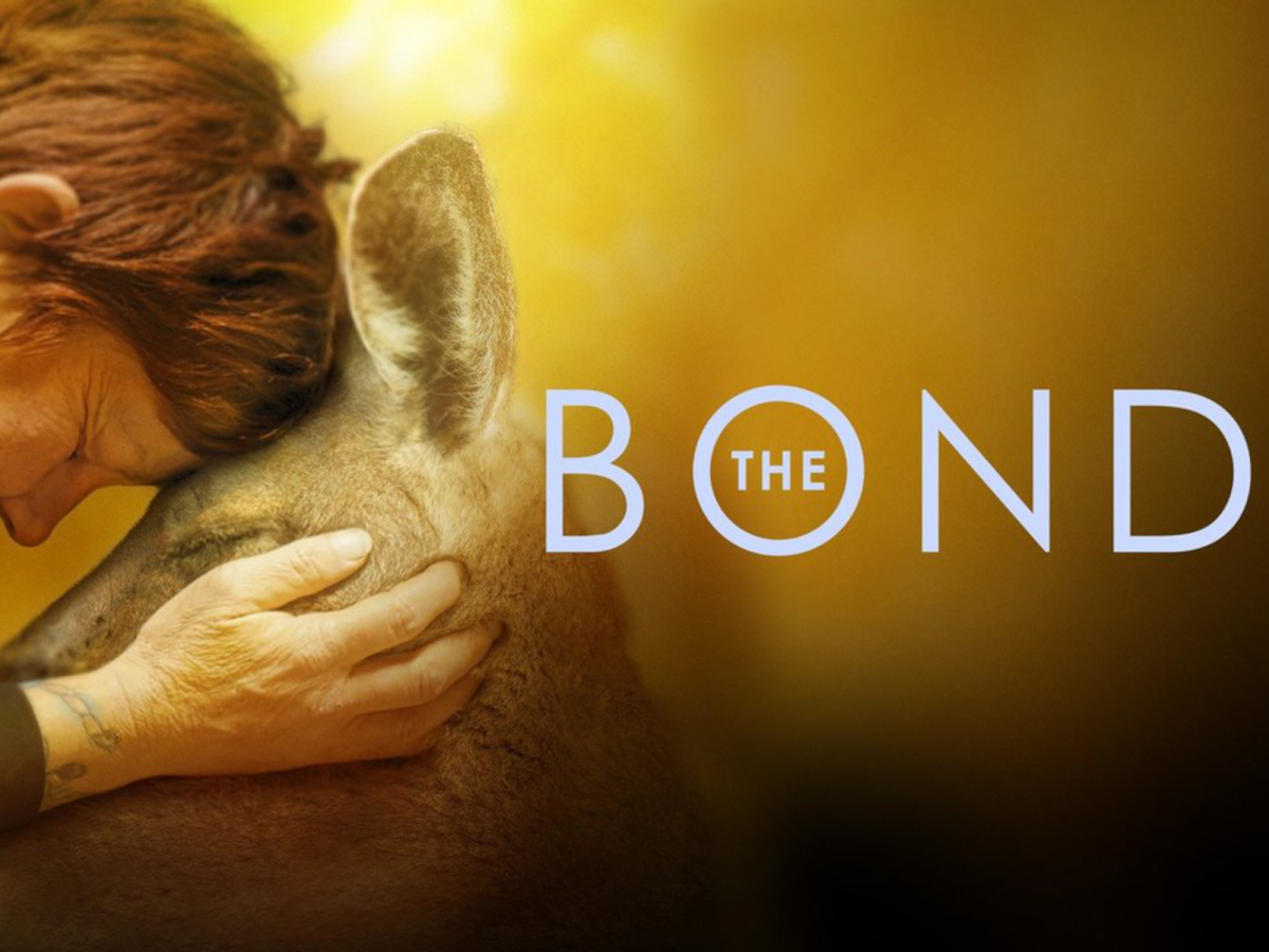 film poster of the docuseries "the bond," showing a person pressing their forehead to that of a kangaroo while gently gripping its cheeks. the image has golden hue. 