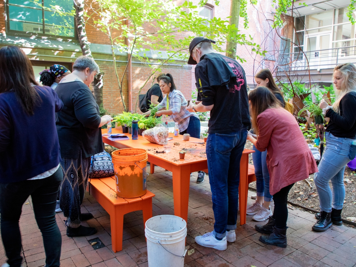 a group of people are bustling over a right orange table in furness courtyard, working with soil and plant matter. several plastic buckets filled with some organic matter are visible, an orange one sitting on the picnic bench, a white one on the brick floor. bright sun shines down through leafy green foliage. 