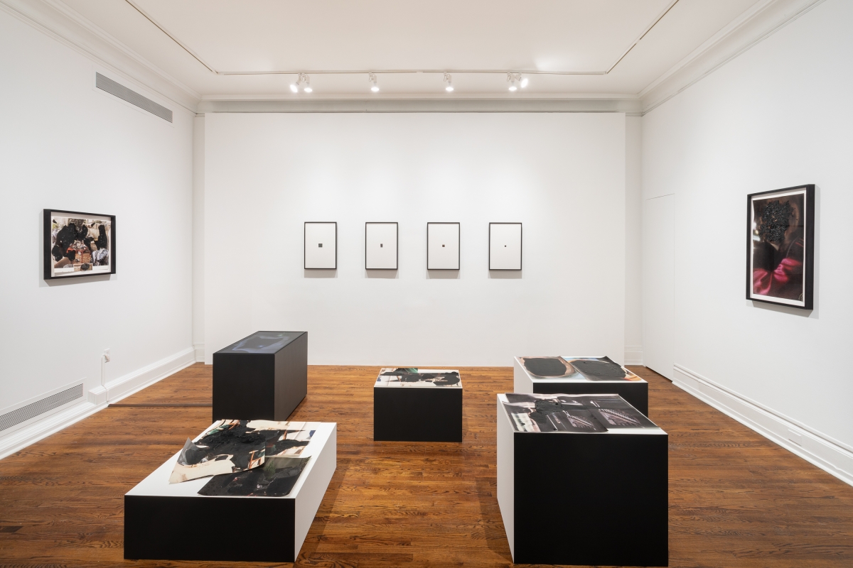 Installation view of works by Abbey Willams in a gallery with white walls and a wooden floor. Throughout the space works of various media are installed in frames on three walls and on pedestals located toward the center of the space.