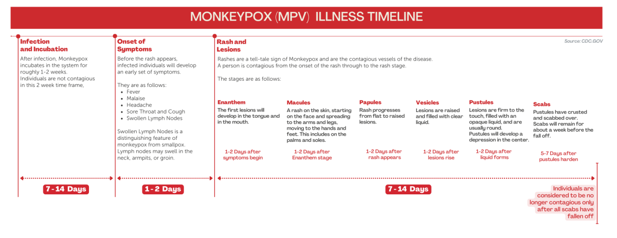 A detailed timeline of monkeypox and what happens over the duration of the illness. 
