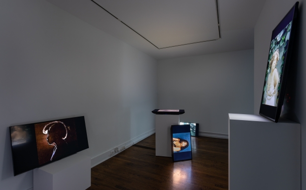 an installation shot of Abbey Williams' work shows a gallery space with digital monitors scattered around the room leaning against and on top of pillars. The screens displaying stills from various videos each featuring a different a female figure shown.