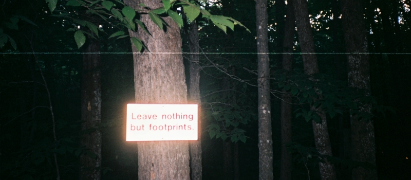 A photograph of a tree with a sign that reads "Leave nothing but footprints." The sign appears to glow against a dark background of trees.