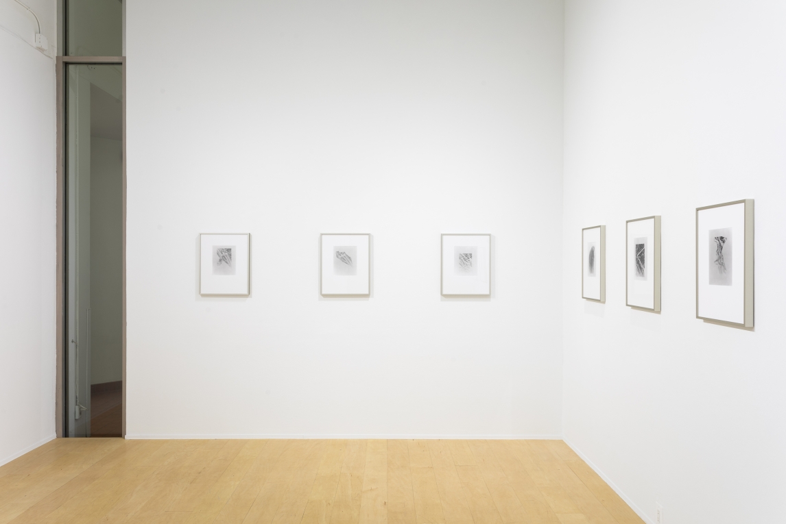 Installation view of row of framed work across two connecting walls