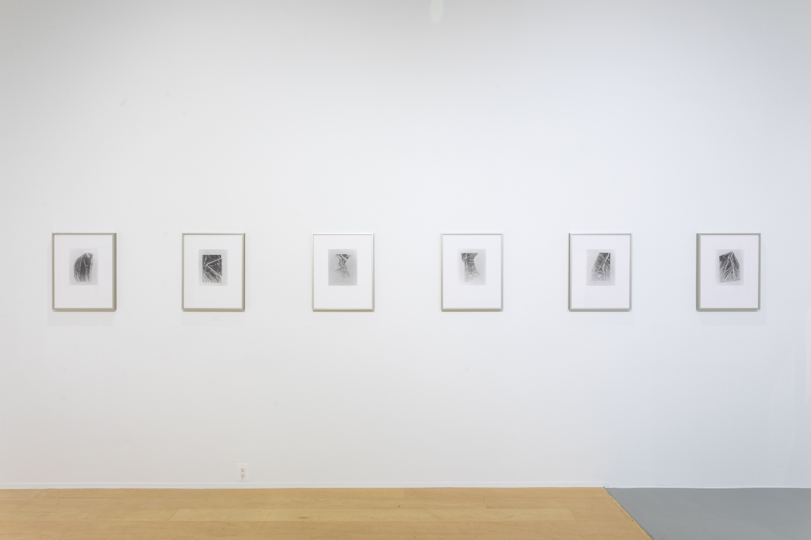 Installation view of row of framed work on wall