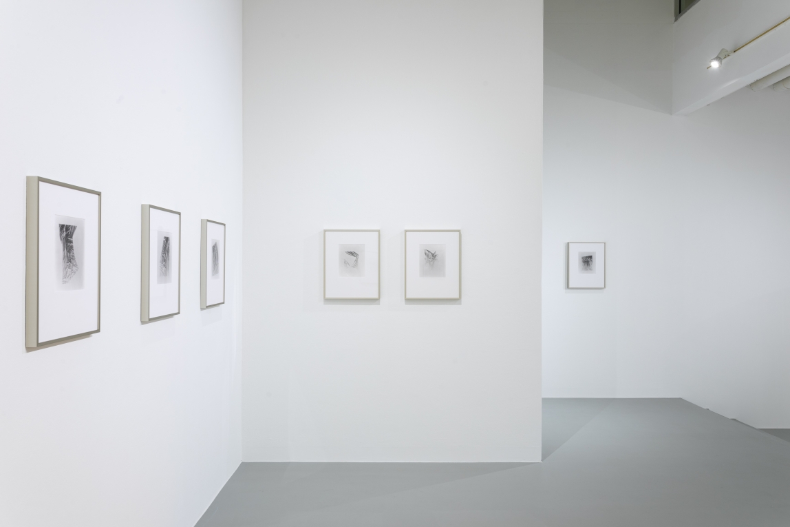 Installation image showing framed work in row across three walls