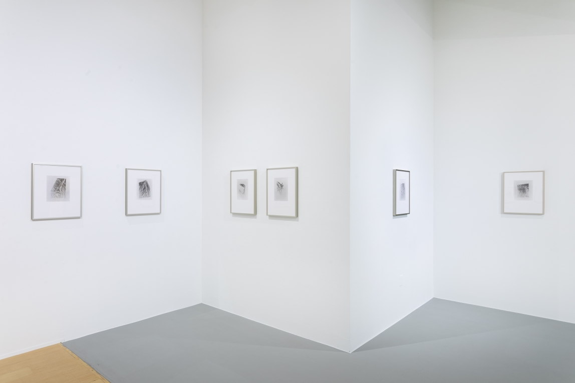 Installation view of framed works across four walls 