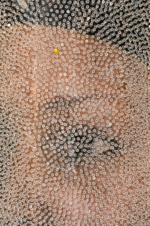 Close up image of face on poster covered in clear tacks and one yellow tack