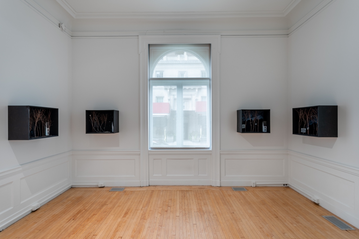 Installation view of a row of four dioramas across three walls