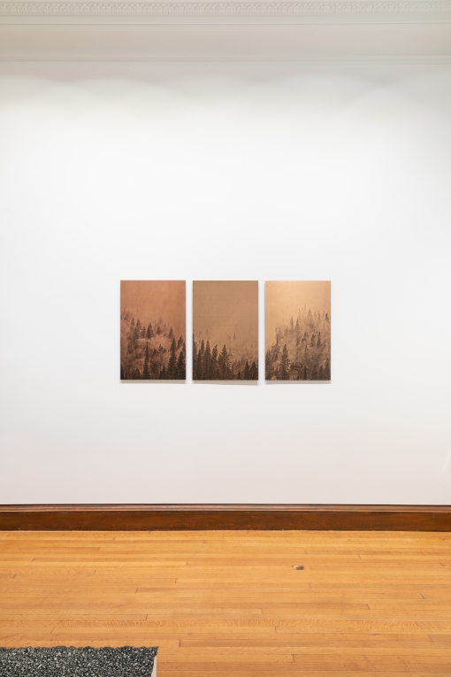 Close-up installation view of triptych of copper plates printed with wooded mountain scene hung no a white wall