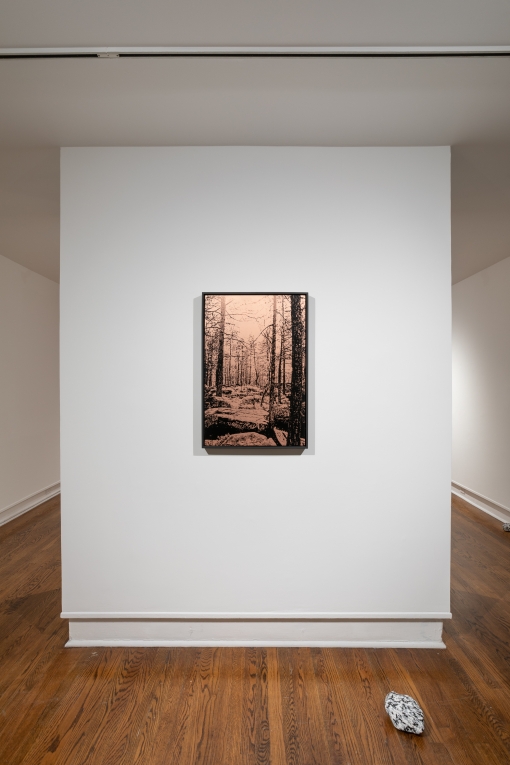 Installation view of a copper plate printed with a wooded scene hanging on a freestanding white wall