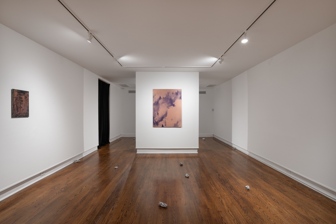 Installation view of gallery with copper plate printed with mountain scene on back wall, another copper print on side wall and rock artworks dispersed throughout