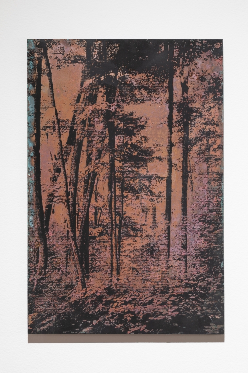 Close-up installation view of copper plate print depicting woods
