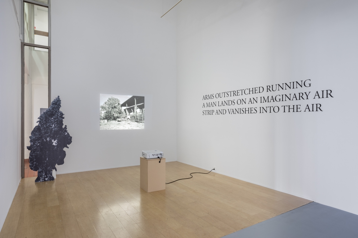 Installation view of large wall text, a projection onto the adjoining wall, next to a cardboard cutout of a tree 