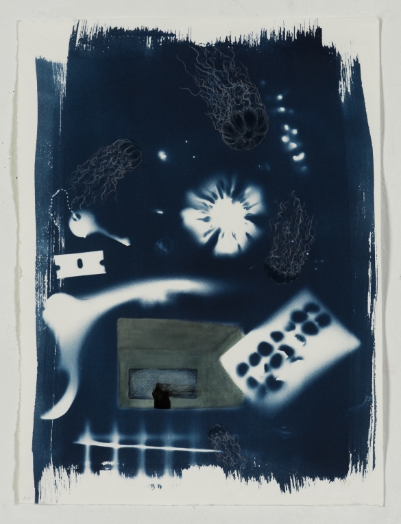a cyanotype photoprint geaturing the faded outlines of a flower, a key, a razorblade and other objects. the deep cyan color is embellished with drawings of jellyfish swimming in various directions.  
