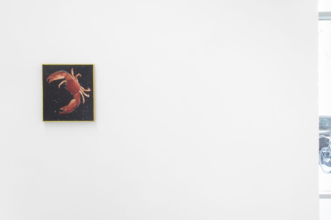 Installation view of small painting of a crab on a black background