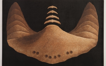 A brown abstract print that resembles both sand and a pelvic bone. 