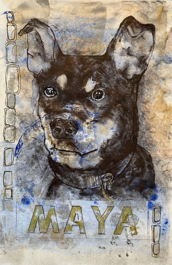 A painting of a black dog on a gold and blue and neutral field and the name Maya underneath the dog in capital gold letters