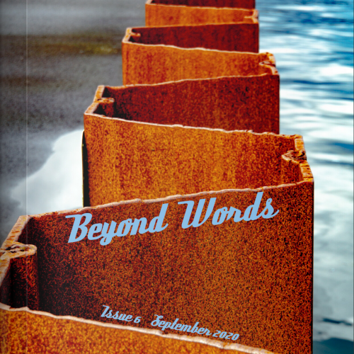 A magazine cover, depicting a rusted iron fence separating the ocean from the beach.